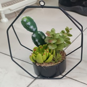 ستاند اسود مع قوار ورد صبار16 سم بورسلان ستاند اسود مع قوار ورد صبار16 سم بورسلان